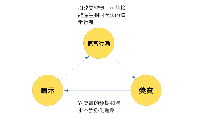 習慣迴路